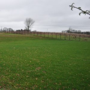 School field