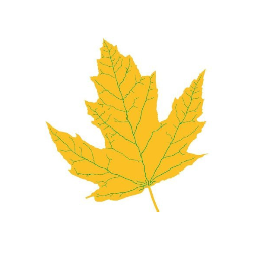 Maplesden Noakes logo