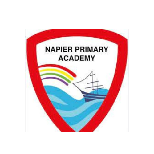 Napier school logo