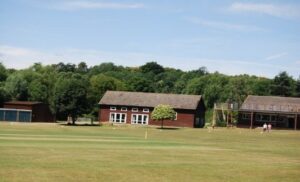 image of cricket pitch
