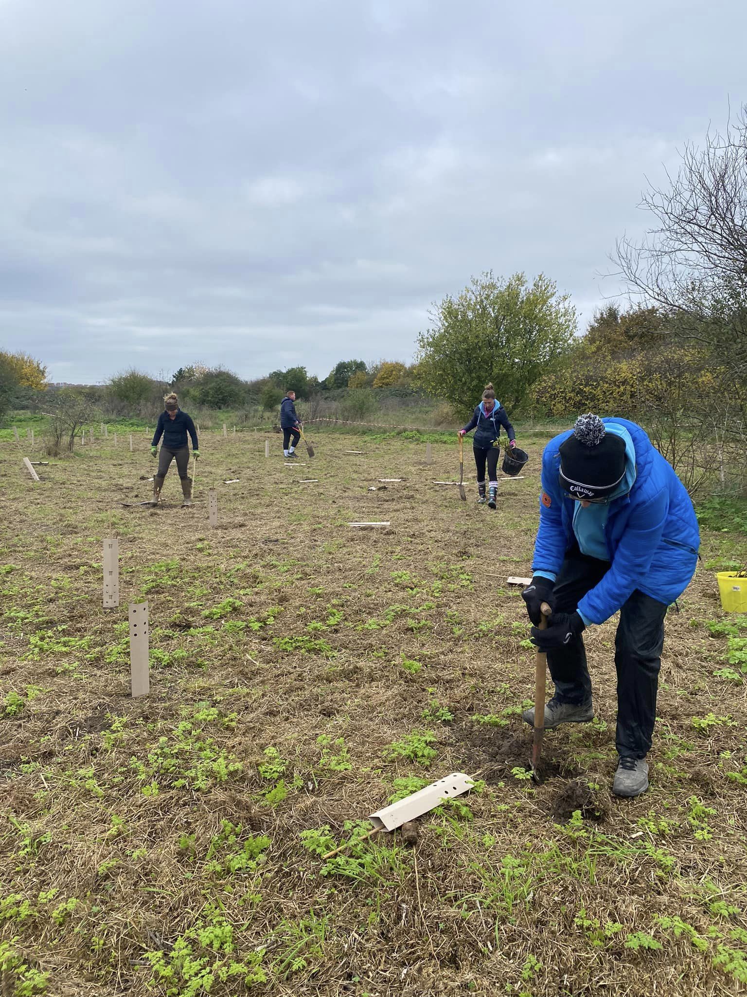 4 people digging holes in a field