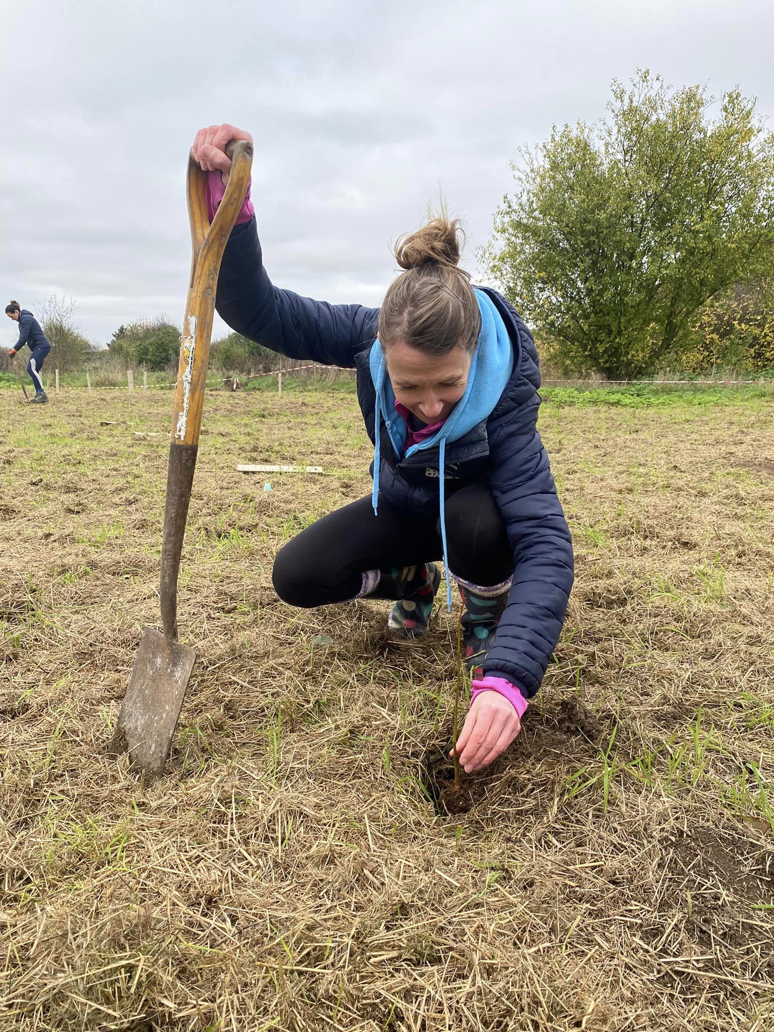 person planting a tree