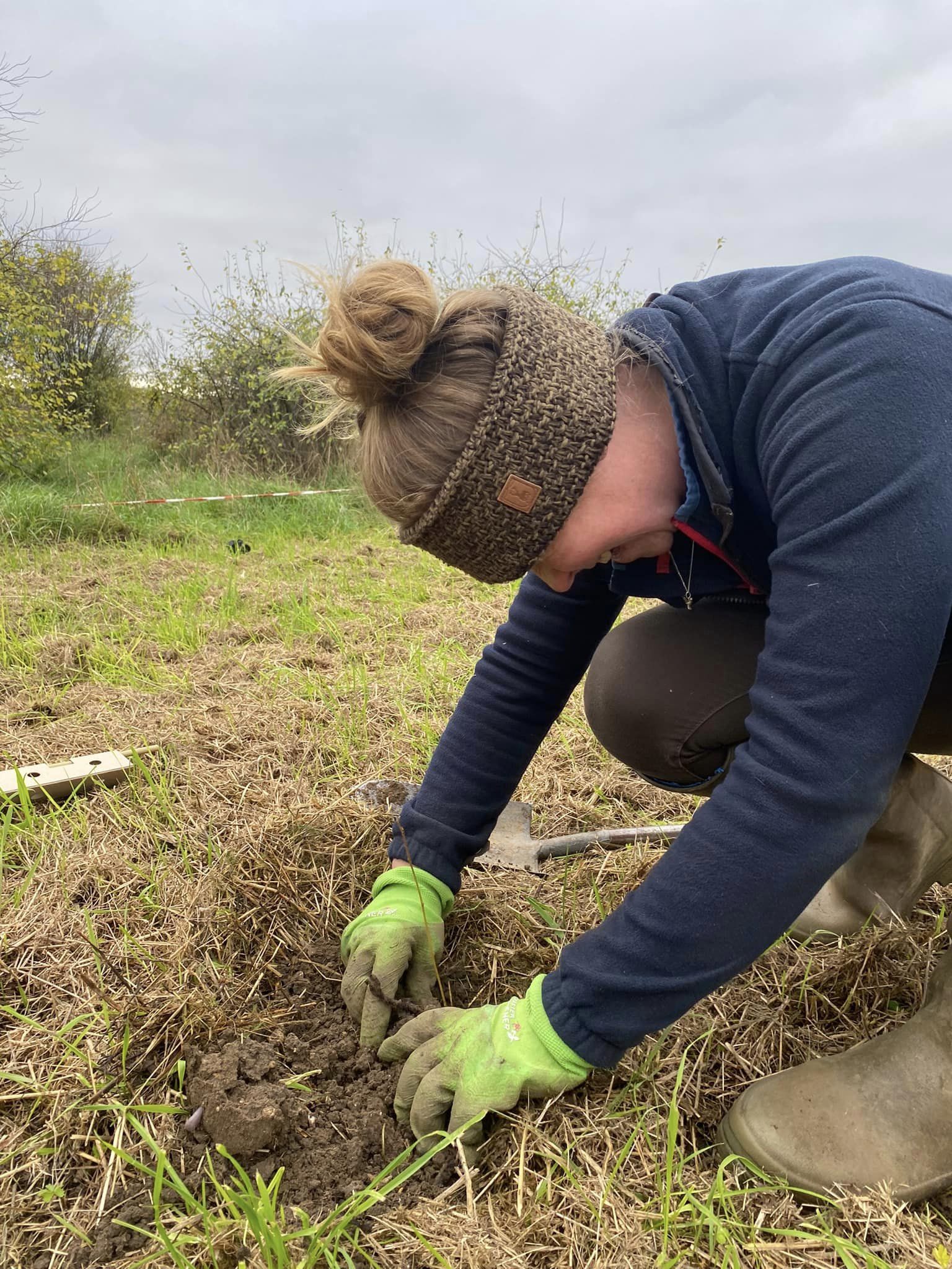 person crouched down planting a tree