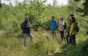 people standing in a field