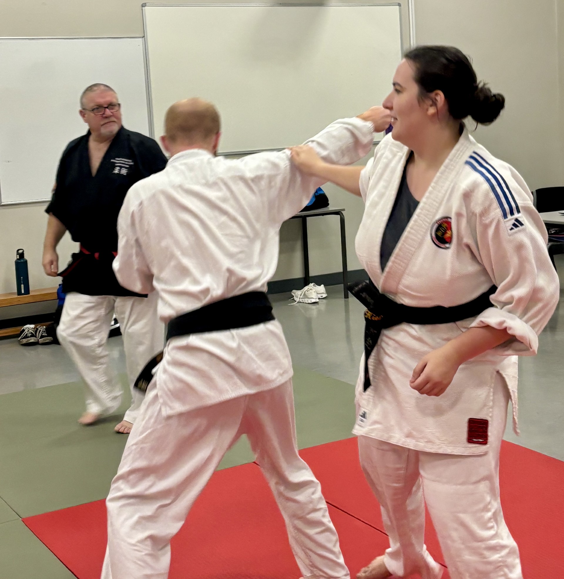 Patch Brodé Tekigou Ryu Ju Jitsu Association C0 - Écusson Allemagne